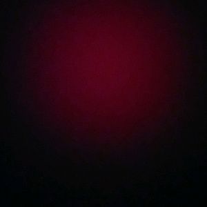 Meet your Posher, Kylie